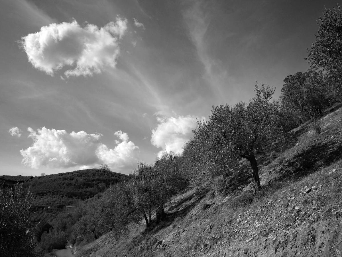 Agriturismo Il Casaletto Montefranco Esterno foto