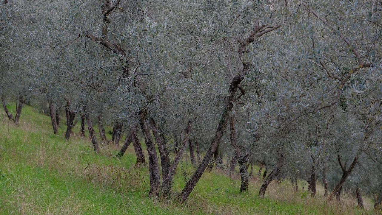 Agriturismo Il Casaletto Montefranco Esterno foto