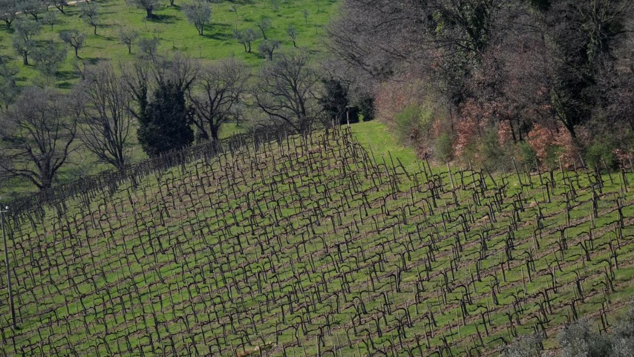 Agriturismo Il Casaletto Montefranco Esterno foto