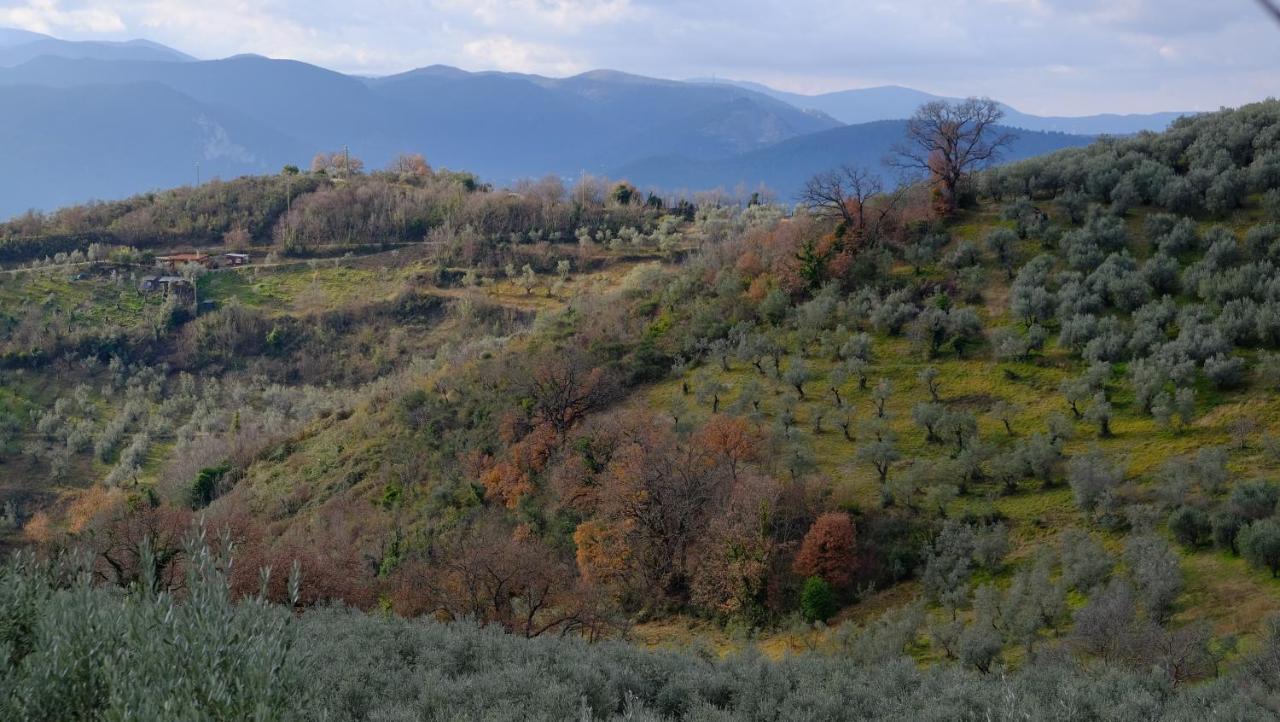 Agriturismo Il Casaletto Montefranco Esterno foto