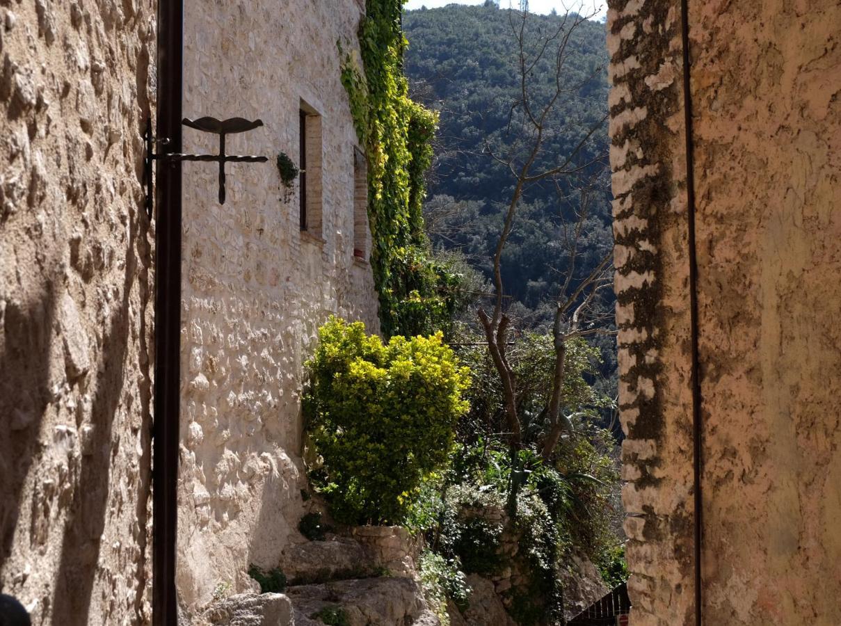 Agriturismo Il Casaletto Montefranco Esterno foto