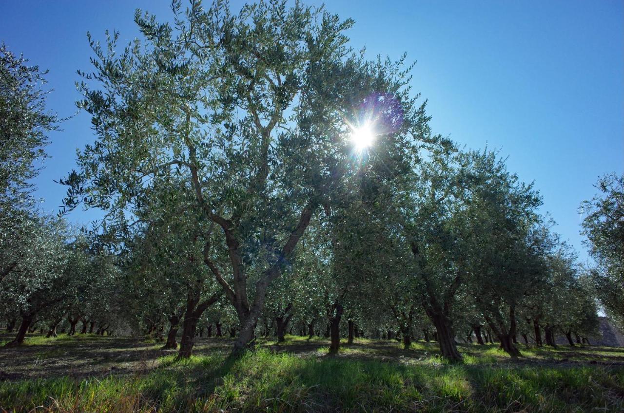 Agriturismo Il Casaletto Montefranco Esterno foto