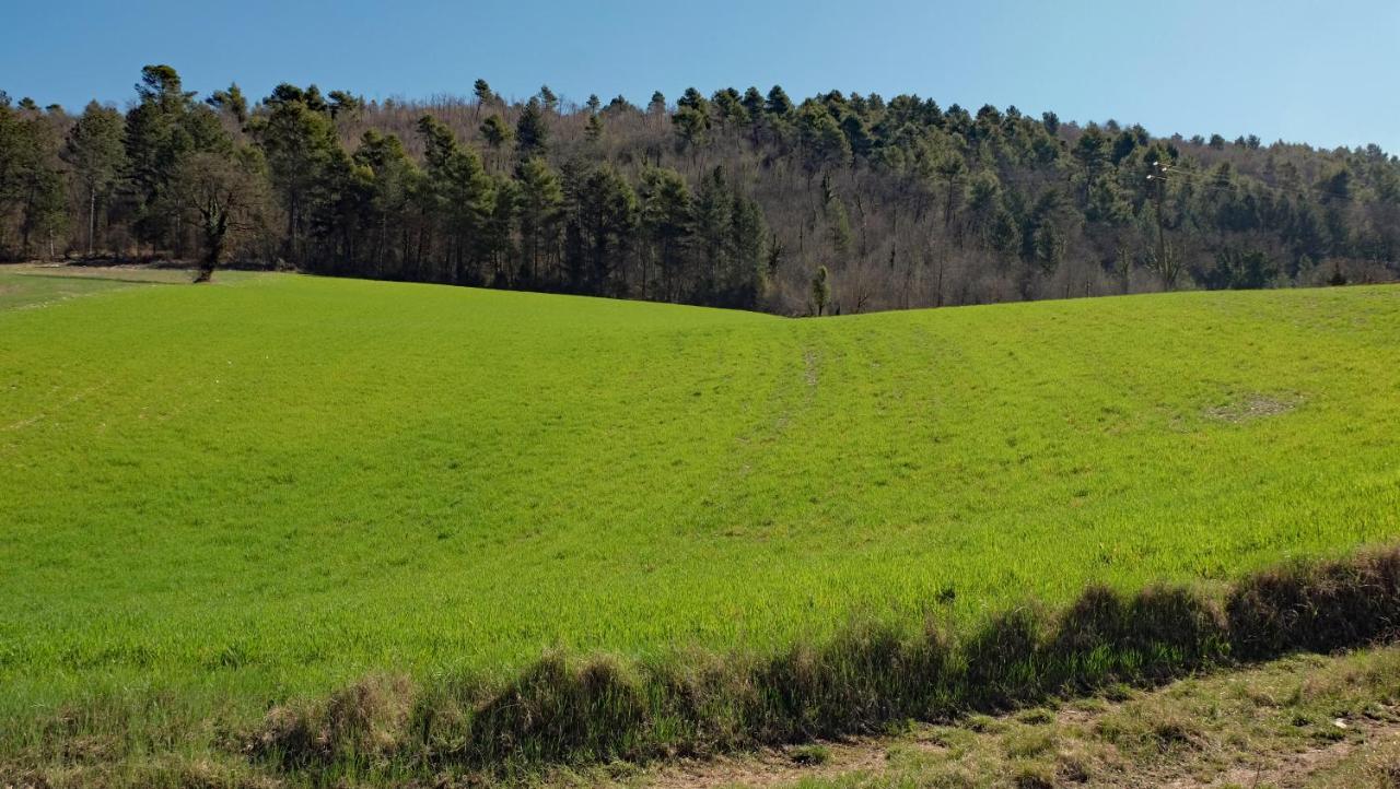 Agriturismo Il Casaletto Montefranco Esterno foto