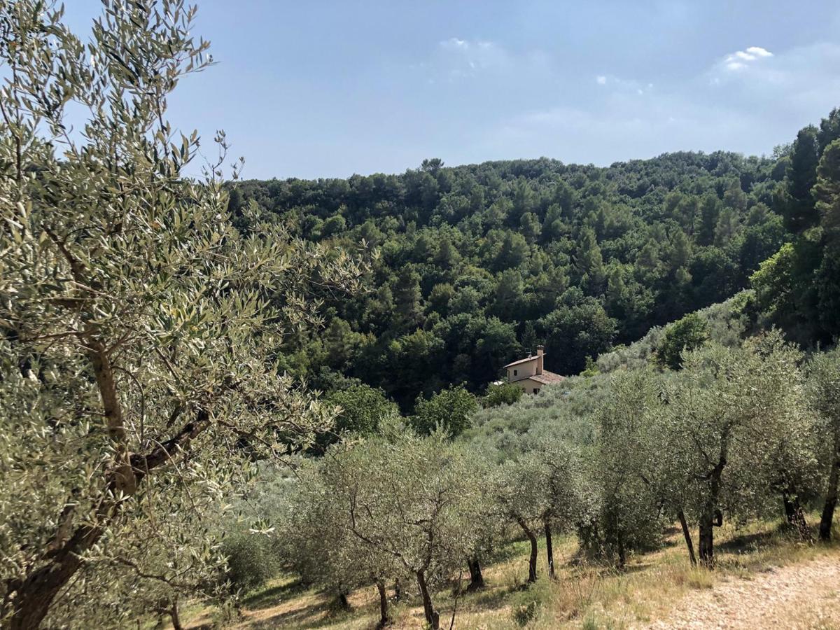 Agriturismo Il Casaletto Montefranco Esterno foto