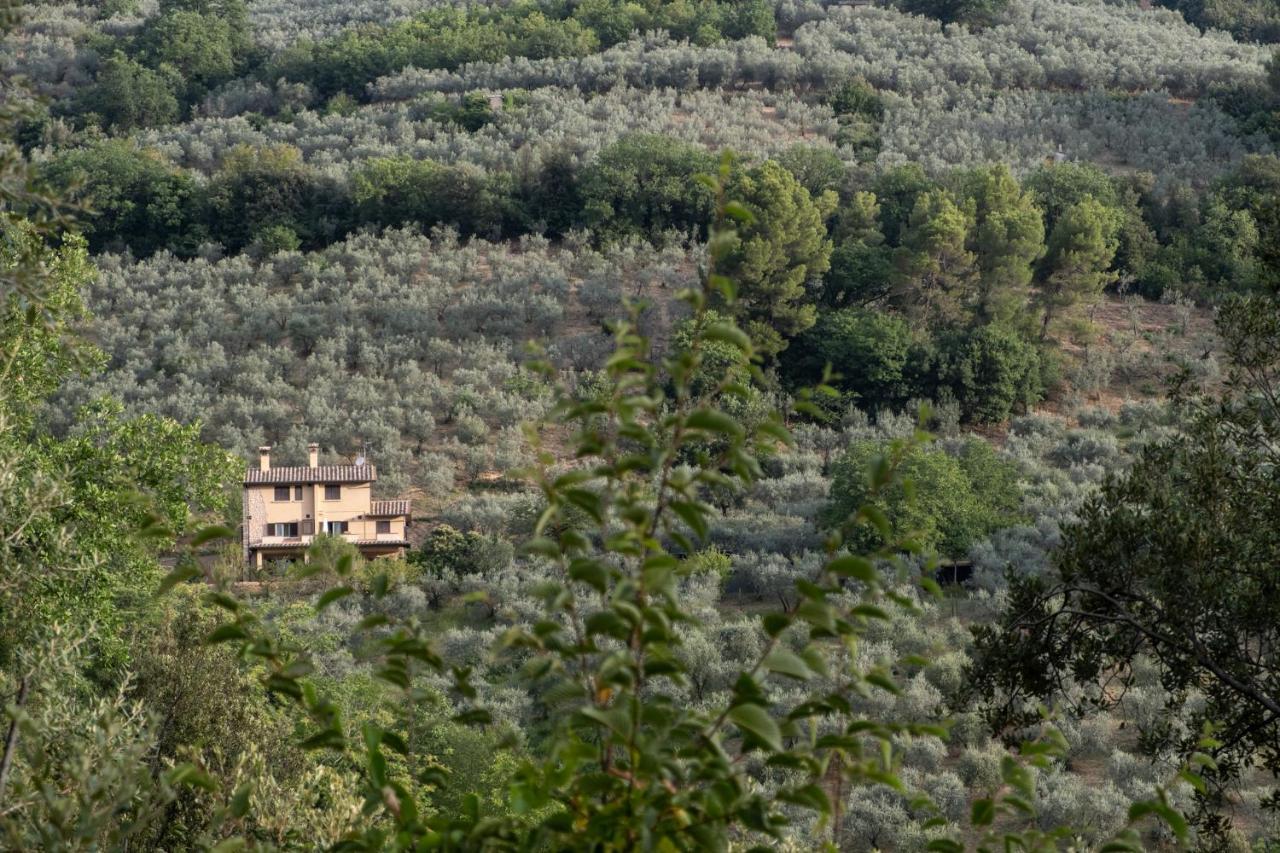 Agriturismo Il Casaletto Montefranco Esterno foto