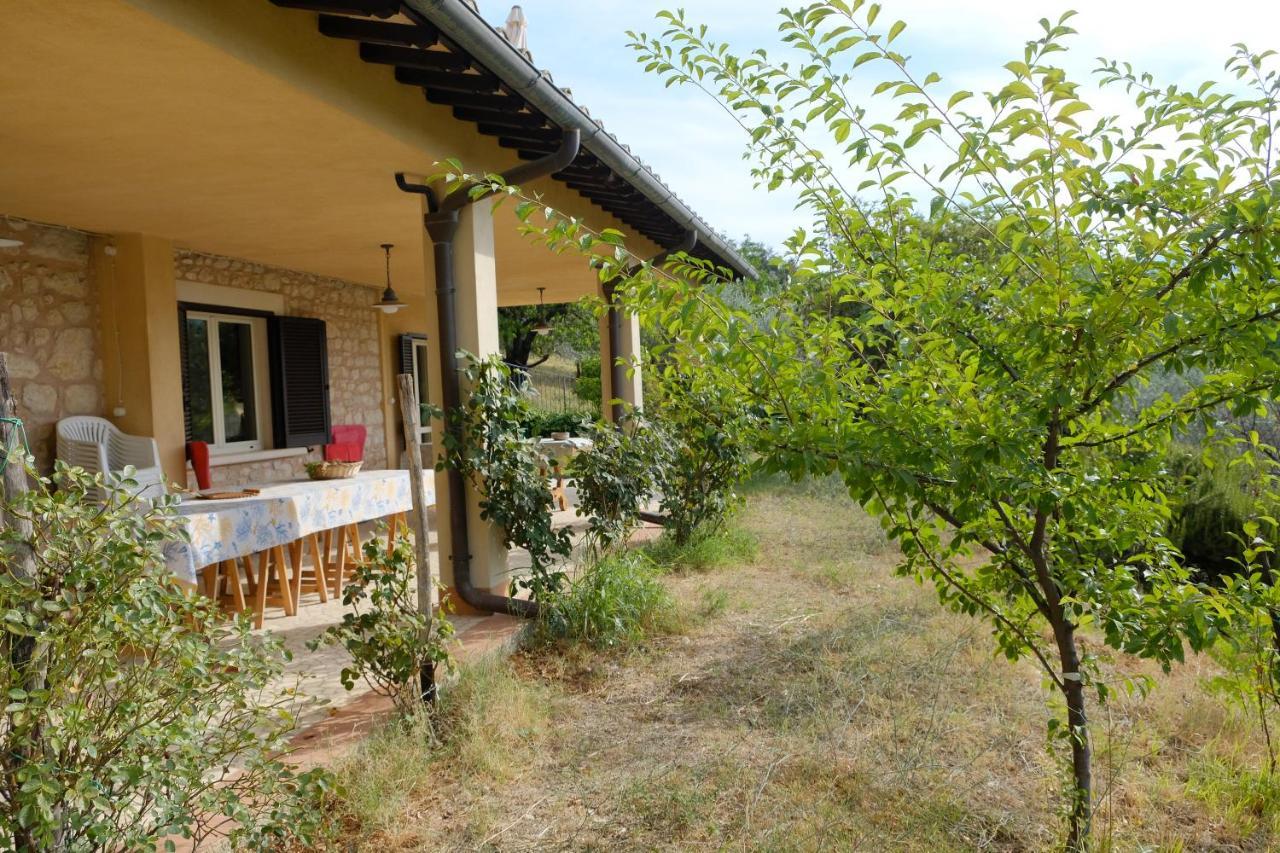 Agriturismo Il Casaletto Montefranco Esterno foto