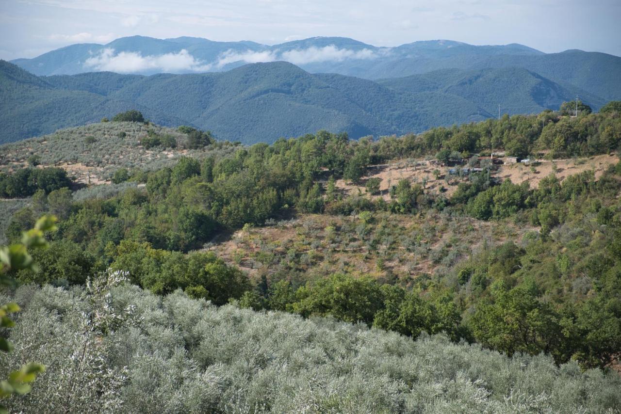 Agriturismo Il Casaletto Montefranco Esterno foto