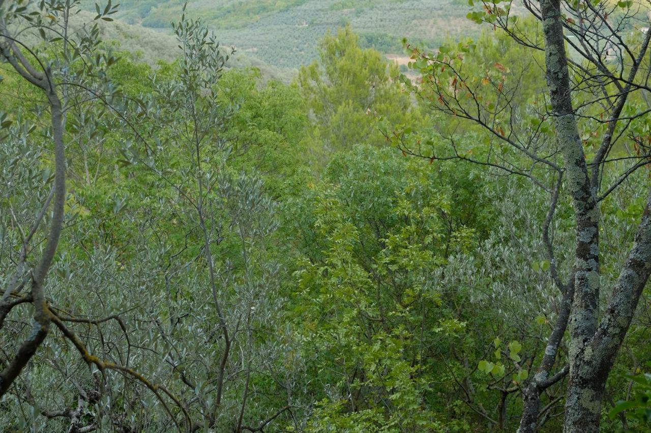 Agriturismo Il Casaletto Montefranco Esterno foto