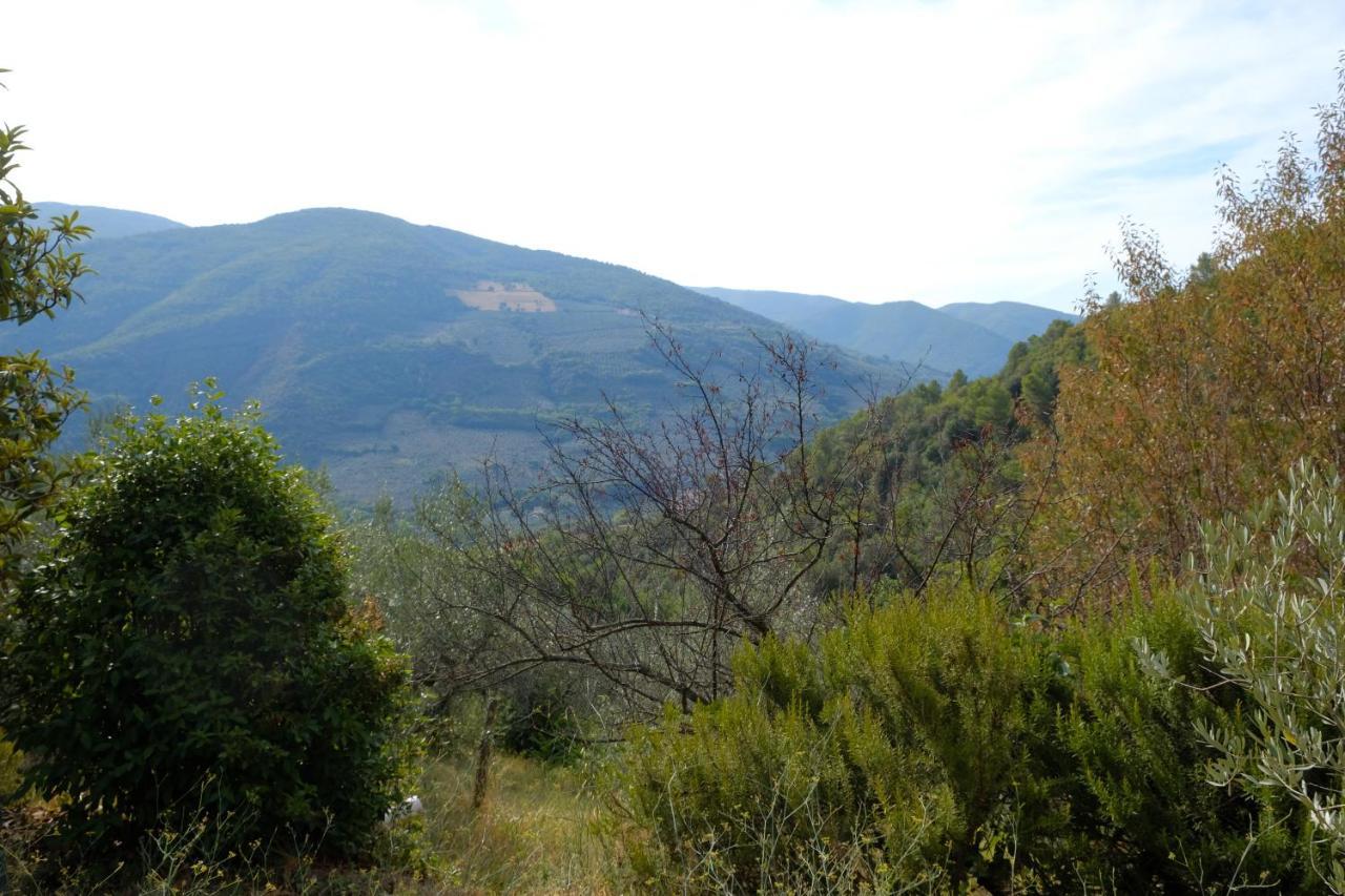 Agriturismo Il Casaletto Montefranco Esterno foto