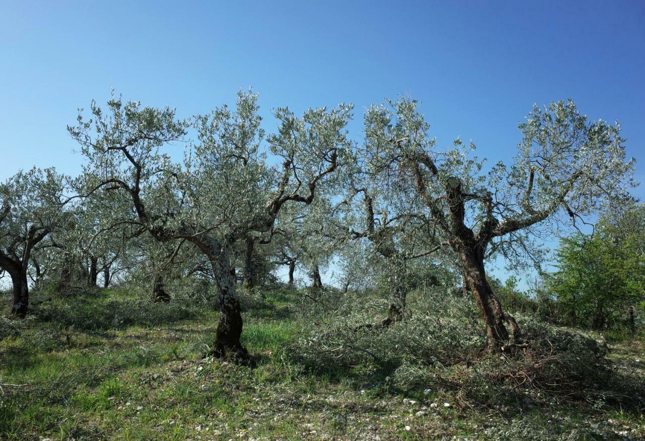 Agriturismo Il Casaletto Montefranco Esterno foto